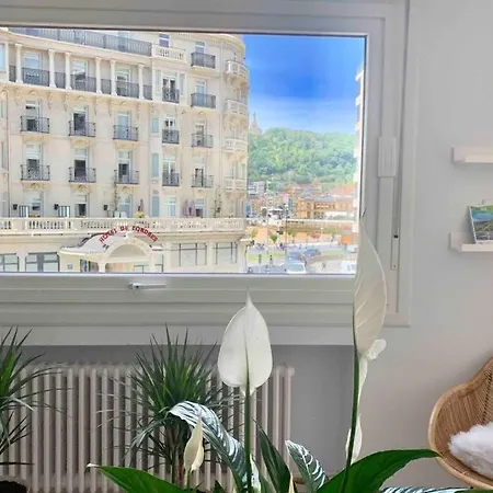 New Gorgeous - Beachfront - 3 Bd *