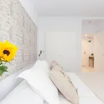 Apartment New Gorgeous - Beachfront - 3 Bd *