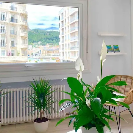 Lejlighed New Gorgeous - Beachfront - 3 Bd *